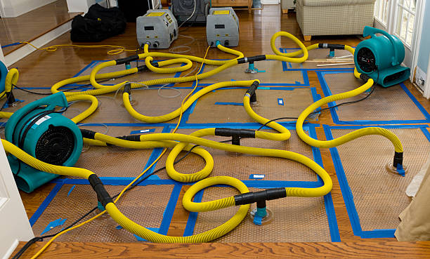 Professional Water Extraction technician working in Mendon, IL